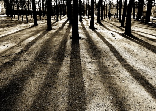 102559065_6d903dc988_b