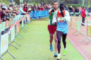 Oscar Fernandez Anaya