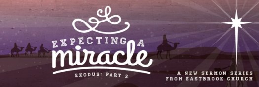 Expecting a Miracle 2