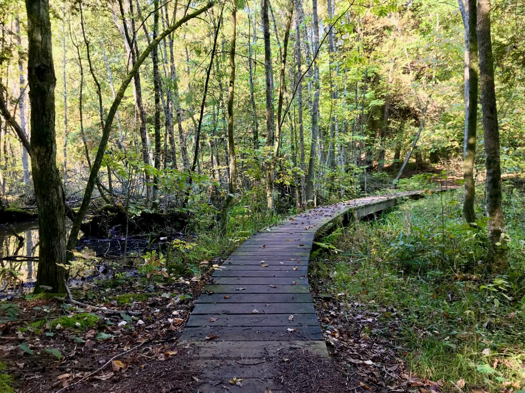 O my soul, know the love and care of God 